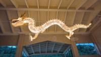 Riesige Goldene Chinesische Drachenform Höhenverstellbare Anpassbare LED-Pendelleuchte Kristallschirm 5-Jahres-Garantie Hohe Helligkeit
