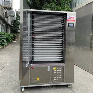 Hot Selling Commercial Fruit Vegetable Heat Pump Drying Machine IKE CE Food Dehydrator Stainless Steel Provided 220v 160