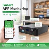 Paquete de Baterías LiFePO4 de Alta Capacidad, 51.2V 100Ah, 5kWh, Montaje en Rack, Ciclo Profundo, para Sistemas de Energía Solar