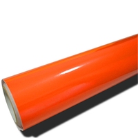 Película de Privacidad Autoadhesiva para Ventanas de Vinilo PVC de Alta Calidad Anolly, 100 micras de Grosor, Resistente a los Rayos UV y al Agua, Acabado Brillante para Vidrio de Edificios