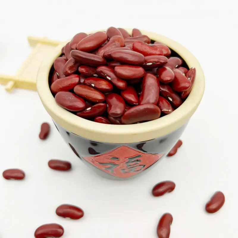 Grosir Kacang Merah Tua Kering Bentuk Panjang Kacang Merah Inggris untuk Ekspor