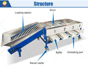 ORME High Efficiency Pear Avocado Fruit Wash Sort Machine Sweet Potato Wash and Sort Machine Price - Product Image 2