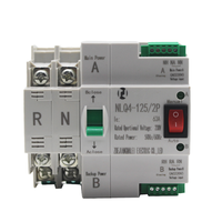 PC Type Dual Power Single Phase 230V Automatic Transfer Switch 2P 100A ATS Circuit Breaker Electrical Switch