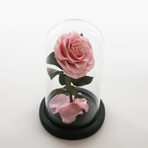 Belle la Bête Préservé Rose Led Verre Dôme Rose Éternelle pour Noël Halloween Fête des Pères Saint Valentin Fête des Mères Cadeau - Product Image 4