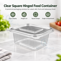 Transparante vierkante scharnierende voedselcontainer, wegwerp clamshell doos voor salade, fruit en afhaalmaaltijden