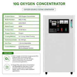 Generador de Ozono Comercial con Sistema de Producción de Oxígeno <span class=keywords><strong>para</strong></span> la Producción de <span class=keywords><strong>Agua</strong></span> Limpia e Industria de Bebidas, Ozono <span class=keywords><strong>para</strong></span> <span class=keywords><strong>Piscinas</strong></span> - Product Image 6