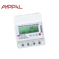 Compteur prépayé bidirectionnel AMPPAL OEM avec minuterie à réenclenchement automatique, compatible Tuya Smart Life, Wi-Fi, numérique, monophasé, 100A, classe 1.0