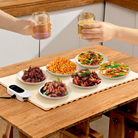 Plaque chauffante en silicone pour buffets et fêtes, 6 réglages de température, pliable, multi-tension, garantie 1 an