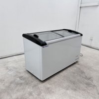 Mini-congélateur vitrine pour glaces et bâtonnets glacés