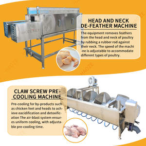 Machine de transformation du poulet |   Épilation des plumes |   1000 oiseaux/heure |   Plumeuse automatique |   Outils de <span class=keywords><strong>boucherie</strong></span> |   Norme ISO - Product Image 5