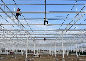 Nấm Farming thiết bị thông minh nấm phát triển container hệ thống - Product Image 4