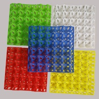 Plateau à œufs en plastique pas cher, carton à œufs en plastique, 30 trous, plateau à œufs en plastique, porte-œufs à vendre