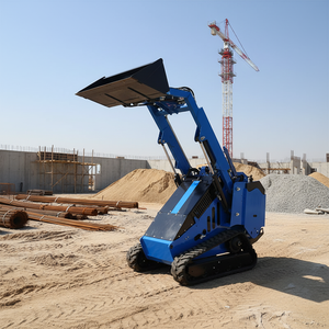 DP-T750 Nouvelle arrivée Chargeuse sur chenilles avec grappin à foin pour ferme Chargeuse compacte <span class=keywords><strong>pas</strong></span> chère Mini avec broyeur - Product Image 2