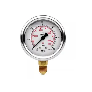 China Factory Direct Sell RPD 24mm 26mm Manometer Diaphragm Pressure Gauge With Radial Installation