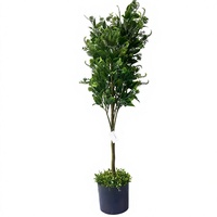 Künstlicher Ficus-Baum mit Echt-Aussehenden Blättern Topfpflanze Hochwertige Kunstpflanzen für Hochzeiten und Veranstaltungsdekoration