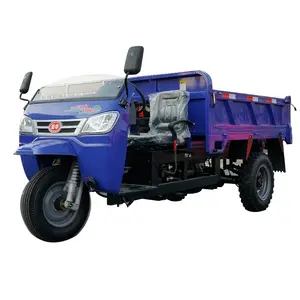 Triciclo volquete de tres ruedas motorizado diésel de carga de precio de venta caliente para África