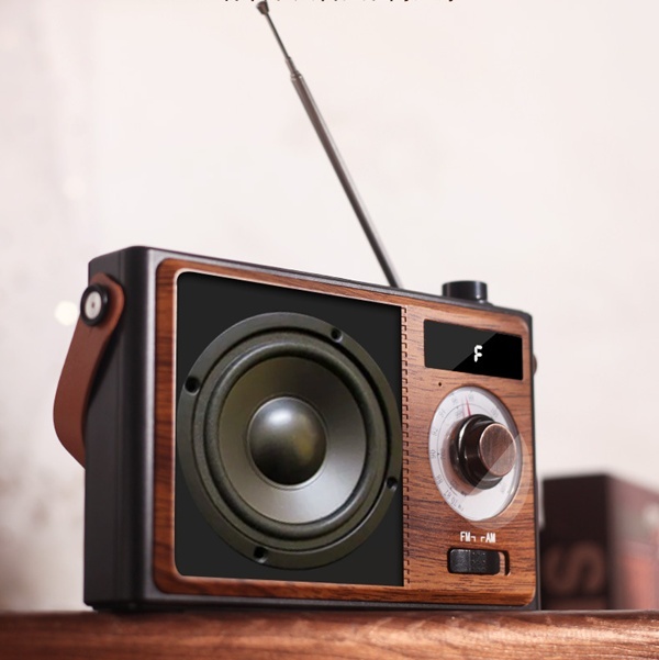 Professional European retro style speaker with function Built-in FM radio