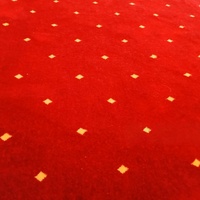 Tapis rouleau professionnel abstrait touffeté rouge en polypropylène, fabriqué à la machine, revêtement mural et de sol, tapis pour événements, fêtes et maison