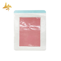Hot & Cold Packs Patch transdermique Nouveau produit-Pansements chinois à base de plantes pour le soulagement de la douleur sciatique du dos