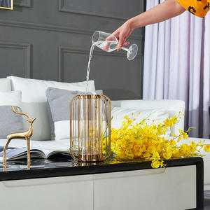 مزهرية زجاجية عصرية على شكل قفص طيور معدني للديكور المنزلي الفاخر بأسلوب شمال أوروبا - Product Image 4