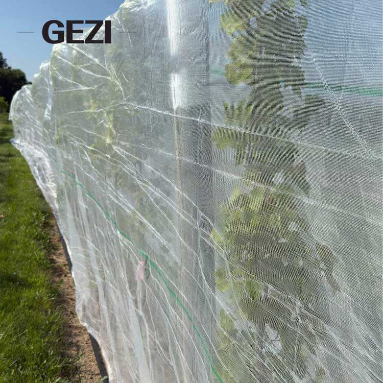 GEZI HDPE Agriculture Anti-Insect Proof Mesh Net Multi-Mesh (25-80 Mesh ...