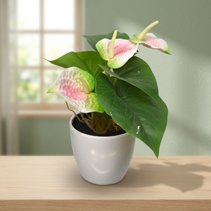 Artificial Plastic <b>Succulent</b> Tropical Anthurium High Simulation Leaves Tabletop <b>Pot</b> - Product Image 2