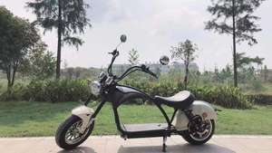 Scooter Eléctrico Citycoco de 3000W, <span class=keywords><strong>Modelo</strong></span> <span class=keywords><strong>Nuevo</strong></span> de Moda 2019, Directo de Fábrica - Product Image 5