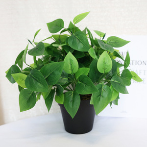 Plantes Artificielles – Bouquet de 7 Branches de Feuilles de Monnaie, Décoration Murale Végétale, 32 cm, Intérieur/Extérieur, Transfrontalier - Product Image 1