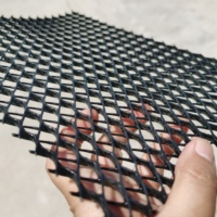 Géogrille de drainage composite 3D installée dans les décharges, géomembrane et géotextile pour le gaz, épaisseur du noyau 5 mm