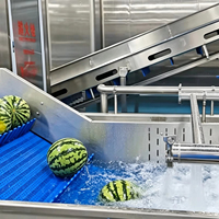 Ligne de production de jus de fruits entièrement automatique, extracteur de jus pour pomme, orange, mangue, raisin (multi-tension)