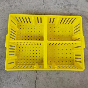 Nhà Máy bán hàng trực tiếp ngày tuổi lớp gà con giao thông vận tải lồng bé gà doanh thu hộp vật liệu nhựa Giao thông vận tải Crate - Product Image 6