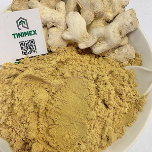 Jengibre en Polvo de Alta Calidad, 20 kg/bolsa de PP, 15 kg/caja, Empaque de Fabricante Vietnamita, Venta al por Mayor para Pedidos al por Mayor, Nueva Temporada - Product Image 4