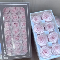 Bunga Mawar Abadi Naturecho 21Pcs, Bunga Kering Real Touch, Mawar Awet Kualitas A Bentuk Kotak, untuk Dekorasi Halloween dan Pernikahan