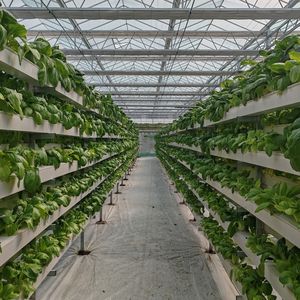 Grande serre de culture sans sol en PVC, système de culture hydroponique verticale NFT pour la laitue, les fraises, les cerises, les concombres - Product Image 1