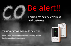 Rilevatore di perdite di allarme monossido di carbonio Aikesi-funzione Anti-avvelenamento - Product Image 5