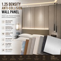 Panneau mural résistant aux chocs de densité 1,25, revêtement mural en PVC co-extrudé pour la décoration des halls d'hôtels 5 étoiles, des couloirs et des salons