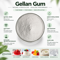 Gomme Gellan de qualité alimentaire à faible et haute teneur en acyl, 99 % pure, en poudre blanche, épaississants, fournie directement par l'usine