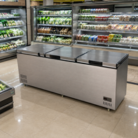 Réfrigérateur horizontal commercial 1380L, congélateur coffre, refroidissement direct, contrôle numérique de la température, 3 portes, R290