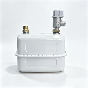 Compteur de gaz à membrane IoT G65 en acier inoxydable 0,65-100 m³/h, entrée gauche, transmission de données RS485, pour pipeline de gaz naturel commercial - Product Image 3