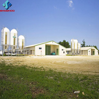 Conception Gratuite de Bâtiment Avicole Simple en Structure Acier pour Poulets de Chair et Poules Pondeuses, Ferme d'Élevage d'Œufs Préfabriquée pour l'Élevage à Grande Échelle