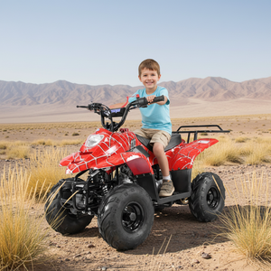 Quad pour enfants Tao Motor ATA110-B1, économique, 110cc, transmission automatique, transmission par chaîne, puissance 1000W - Product Image 1