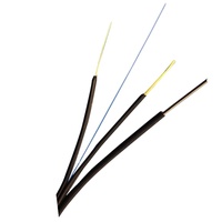 Kabel Drop Fiber Optik Ftth Flat 1core, Kabel Ethernet Outdoor, Kabel Fiber Optik Drop dengan Kawat Baja Penyangga Sendiri