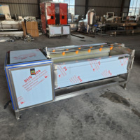Machine à laver industrielle 60-100 kg/h pour pommes de terre, carottes, gingembre, et machine à éplucher les patates douces et le manioc à rouleaux