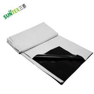 Film Panda 32' X100' Film occultant noir et blanc léger UV 6 mill - Product Image 3