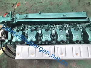 Parti Usate per Camion Sinotruk Howo, Motori <span class=keywords><strong>Diesel</strong></span> WD615.47 371HP Nuovi e Componenti per Macchinari - Product Image 5