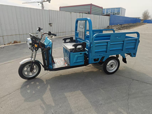 Triciclo Motorizado de 600W con Voltaje de 60V - Product Image 3