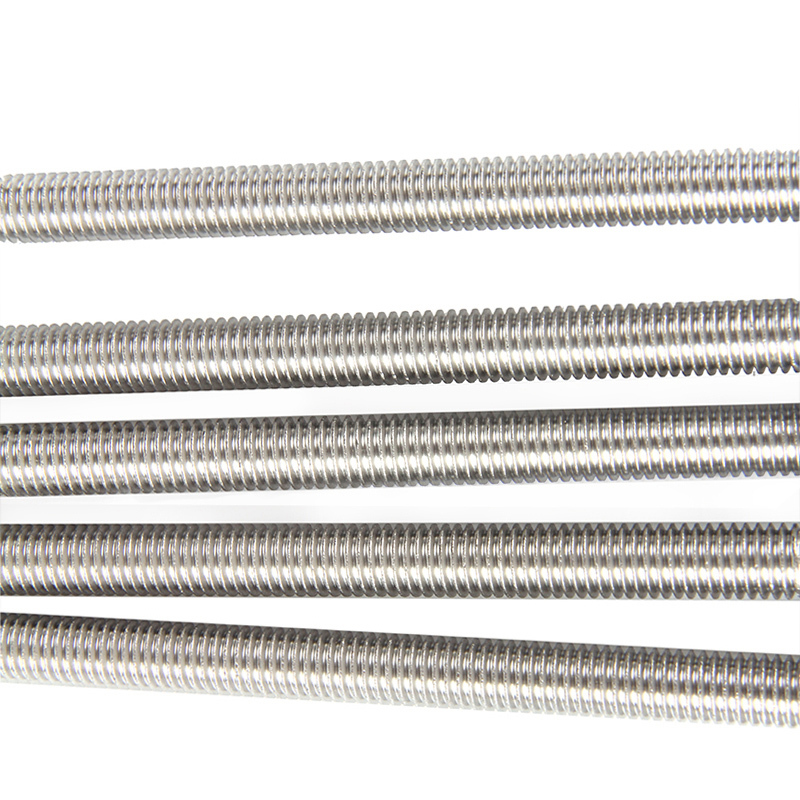 High Precision Stainless Steel Acme M5