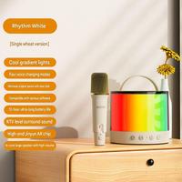 Haut-parleur sans fil mini karaoké LED RGB 2026 le plus vendu pour home cinéma, avec double microphone et lecteur audio