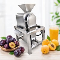 Enkelkanaals pulpermachine voor de verwerking van avocado, mango, tomaat en passievruchten puree