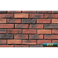 Carreaux de mur en faux briques BERICH Z40, revêtement de briques fines, briques de parement pour mur extérieur en vente